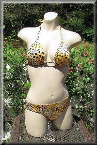 Chic Cheetah Bikini Set.