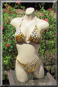 Leopard Bikini Set.