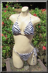 Zesty Zebra Bikini Set.
