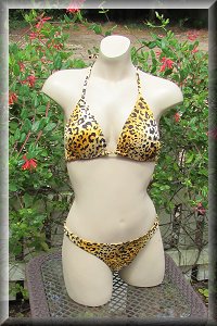 Leopard 2 Bikini Set.