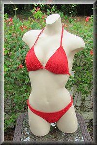 Red Lace Bikini Set.