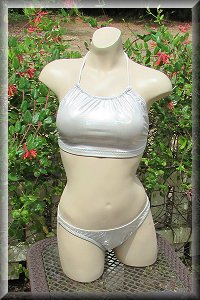 Silver Hologram Bikini Set.