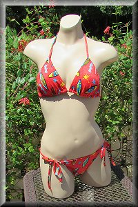 Surfer Girl Bikini Set.
