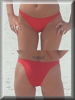 Brazil Tanner Bikini Bikini Bottom