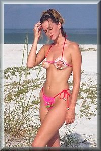 Flamingo Shells Bikini