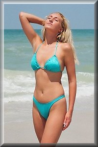 Leaf Top Plain Bottom Bikini