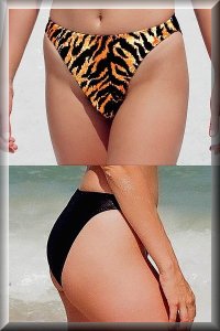 Retro High Rise Bikini Bottom.